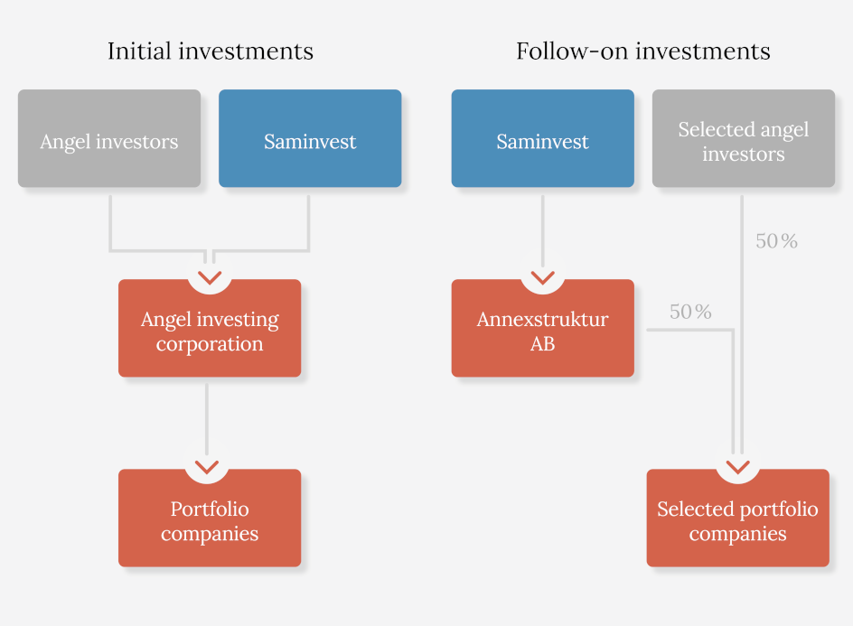 Angel investor programme